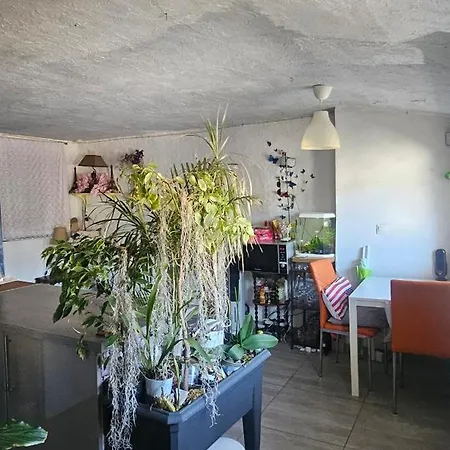 C Sunlight Apartmán