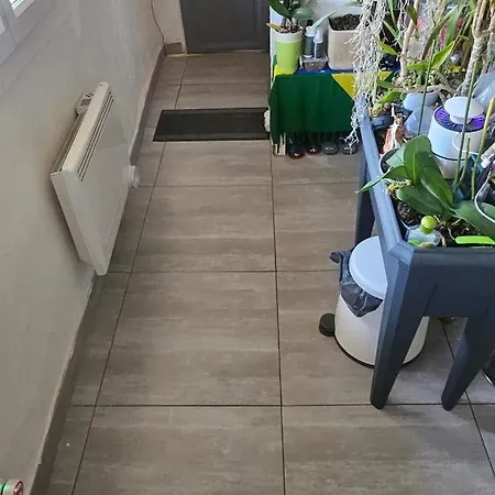 C Sunlight アパート *