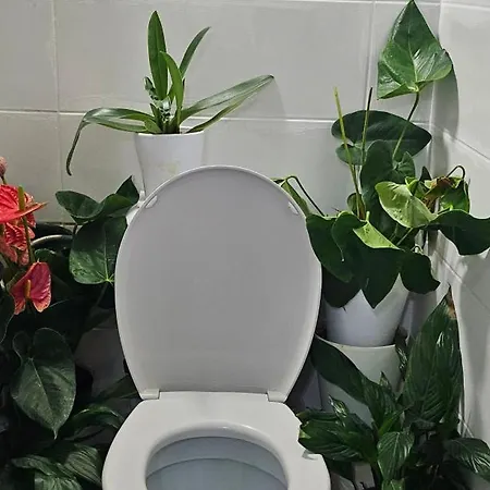 Apartman C Sunlight La Ciotat