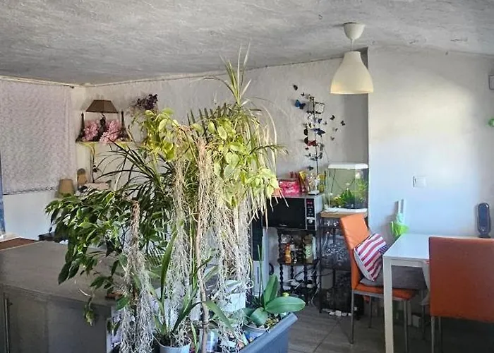 C Sunlight Apartment